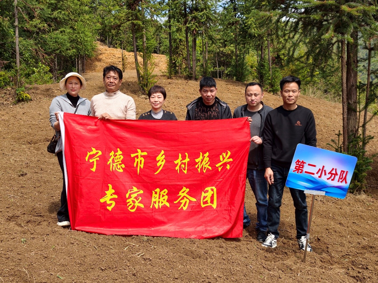 英国上市公司365