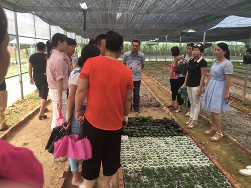 英国上市公司365