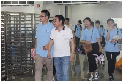 英国上市公司365