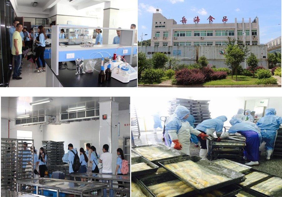 英国上市公司365