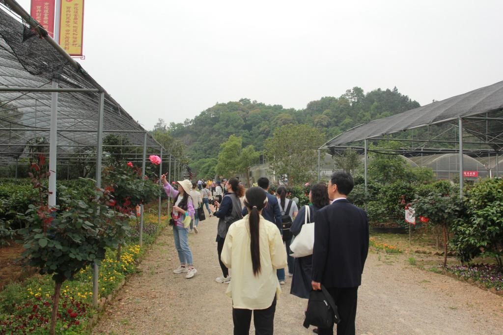 英国上市公司365