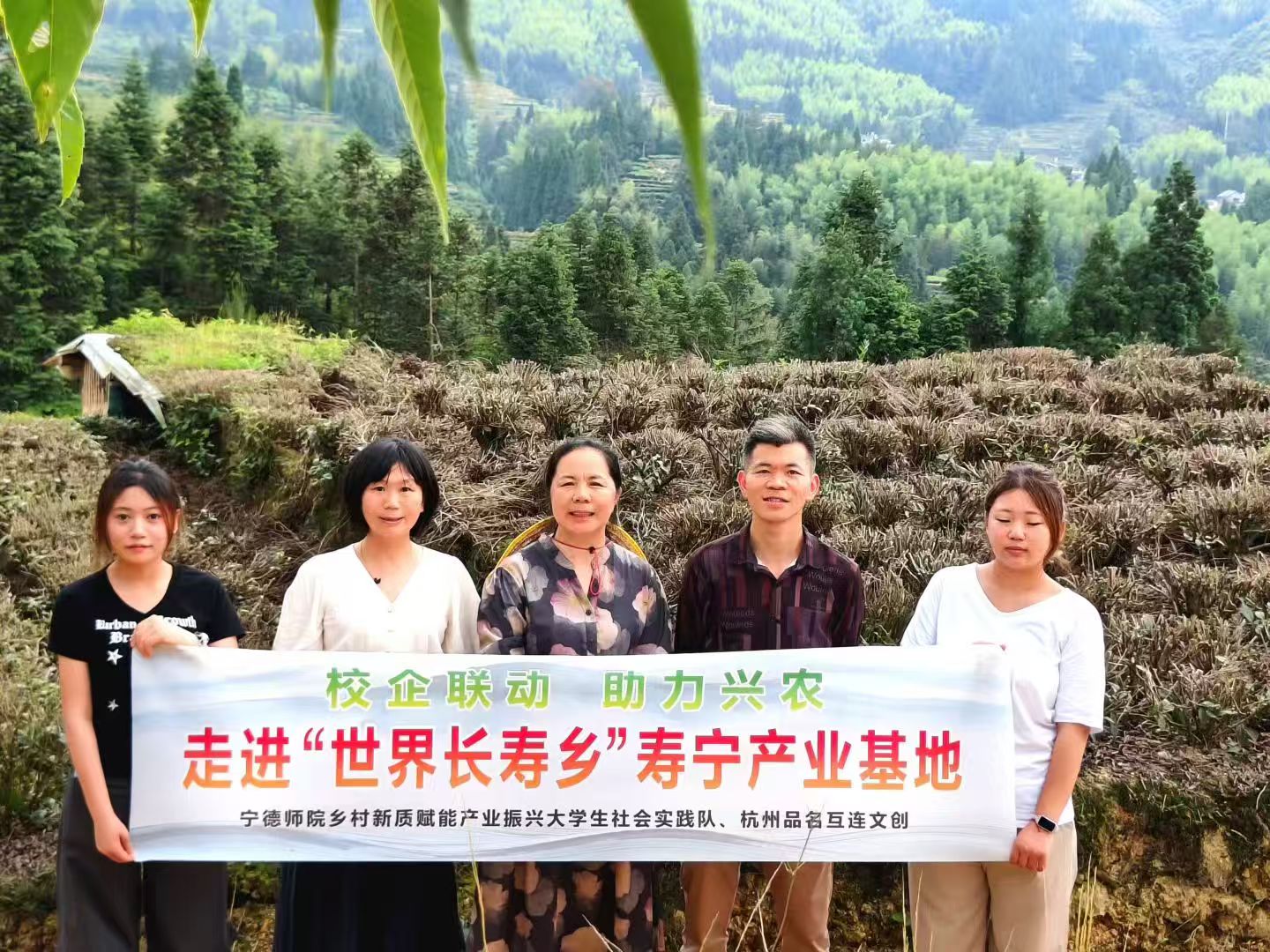 英国上市公司365