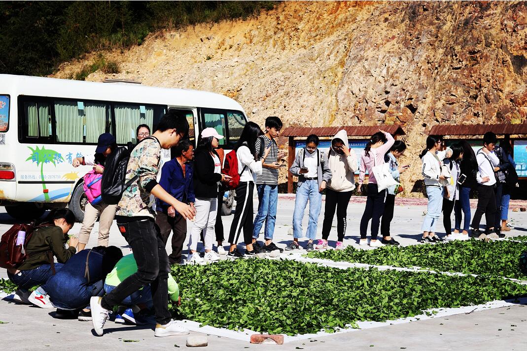 英国上市公司365