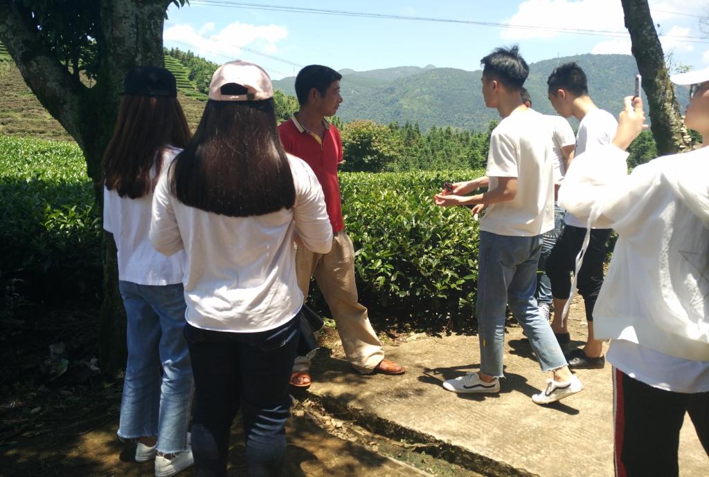 英国上市公司365