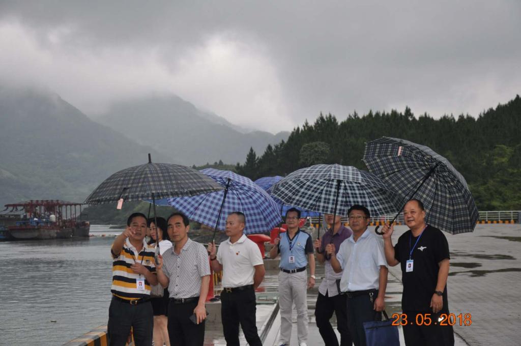 英国上市公司365