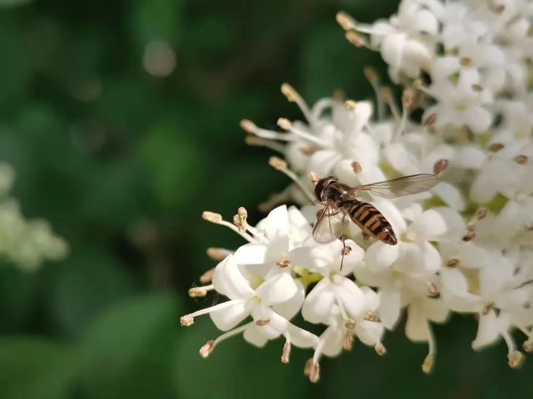 英国上市公司365