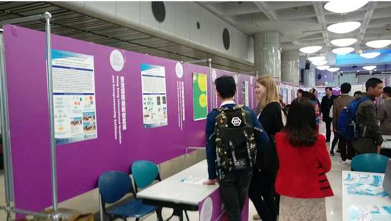 英国上市公司365