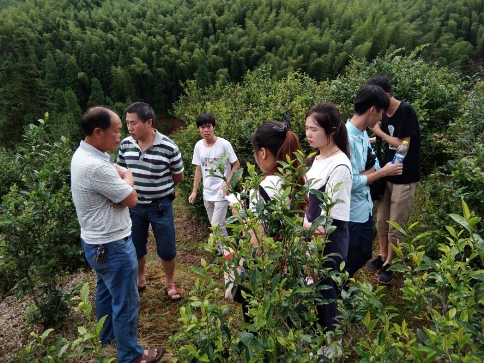 英国上市公司365