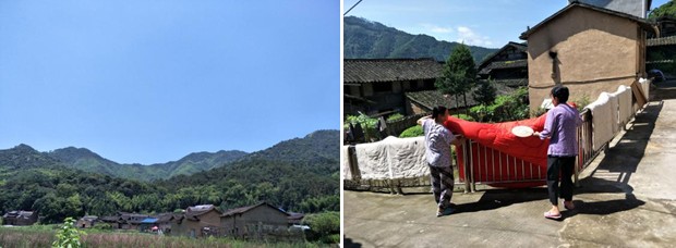 英国上市公司365